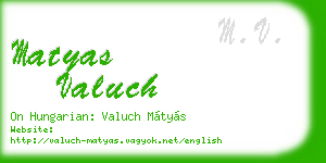 matyas valuch business card